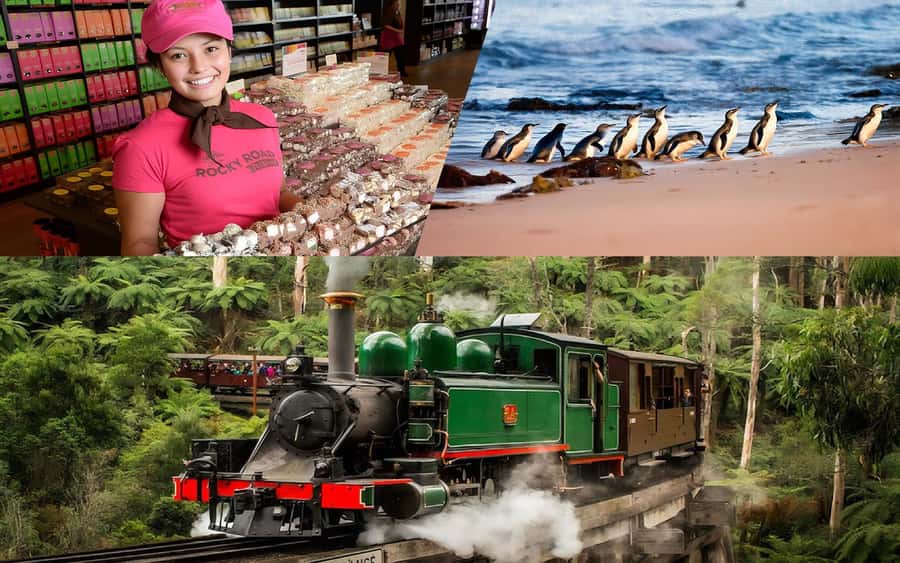 Puffing Billy Penguin Parade Winery Chocolaterie All-in-One - Rochford Wines adds a taste of the Yarra Valley