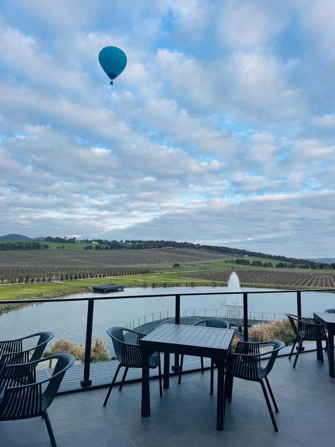 Puffing Billy Penguin Parade Winery Chocolaterie All-in-One - Who should book this day tour?