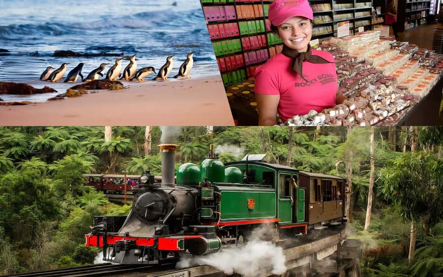 Puffing Billy Penguin Parade Winery Chocolaterie All-in-One - Yarra Valley Chocolaterie starts the day sweetly