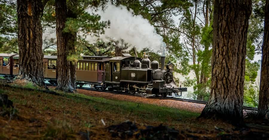 Puffing Billy Railway: Heritage Steam Train Journey - Lakeside and Emerald Lake Park