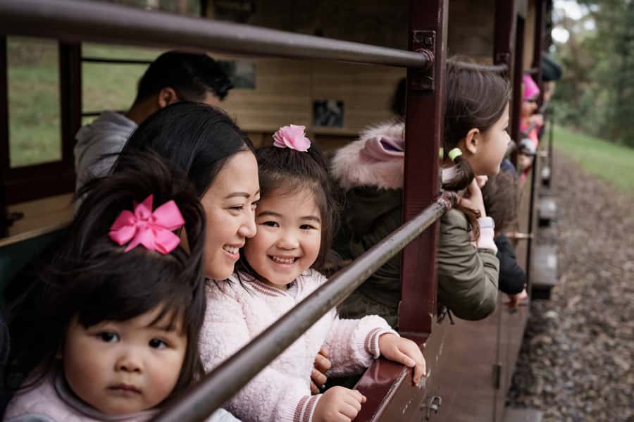 Puffing Billy Railway: Heritage Steam Train Journey - What $29 gets you
