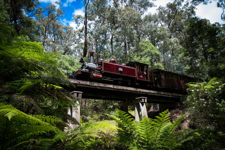 Puffing Billy Railway: Heritage Steam Train Journey - Who will enjoy Puffing Billy most