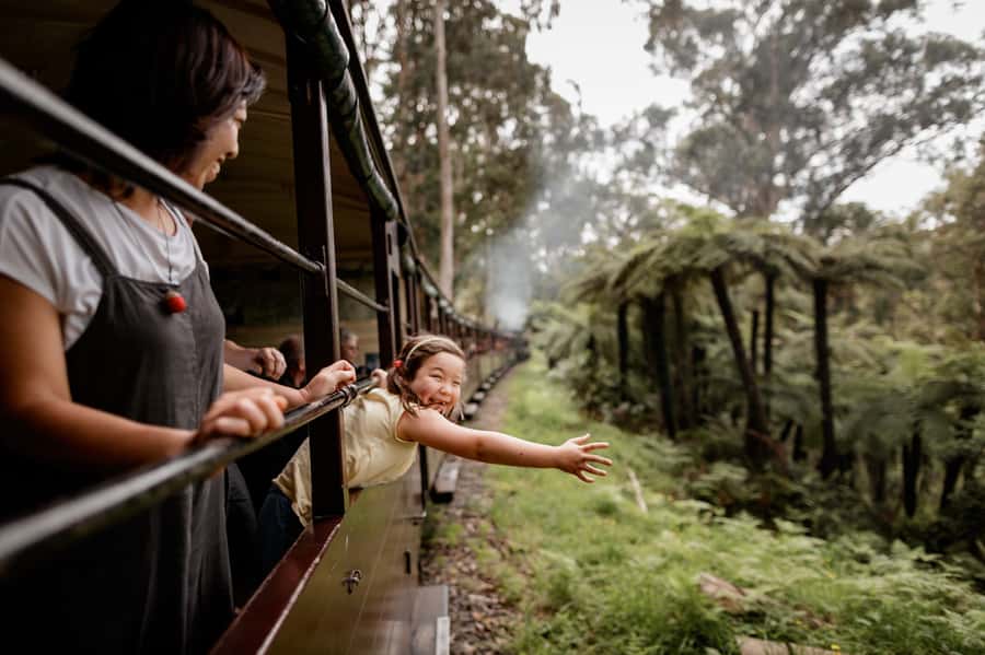 Puffing Billy Railway: Heritage Steam Train Journey - From Belgrave into the Dandenong Ranges