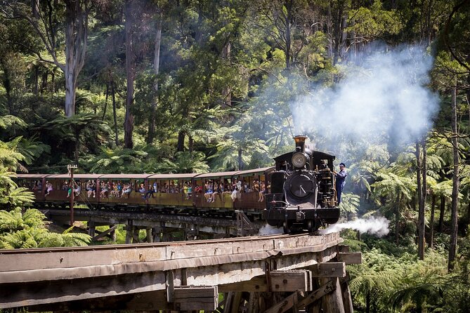 Puffing Billy & Rainforest Tour from Melbourne - The one-hour ride through the Dandenong Ranges