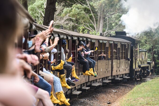 Puffing Billy Steam Train and Penguins Wildlife Tour - Key points to know before booking