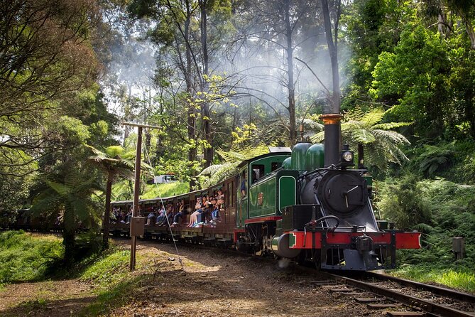 Puffing Billy Steam Train and Penguins Wildlife Tour - A half-hour at the Lakeside Visitor Centre