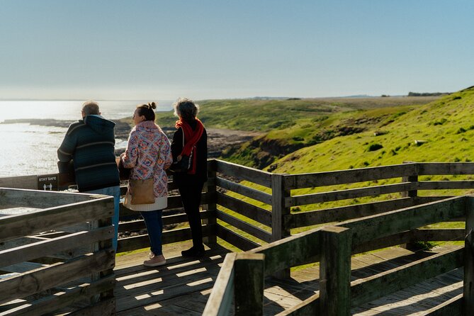 Puffing Billy Steam Train and Penguins Wildlife Tour - What the 12-hour schedule feels like