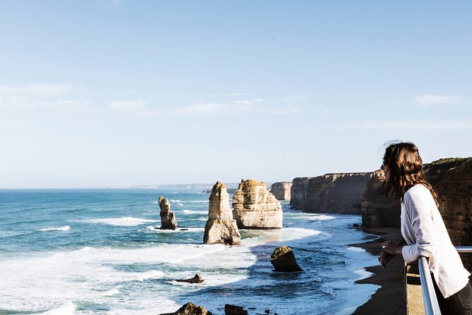 Puffing Billy Steam Train and Penguins Wildlife Tour - Who will enjoy this tour most?