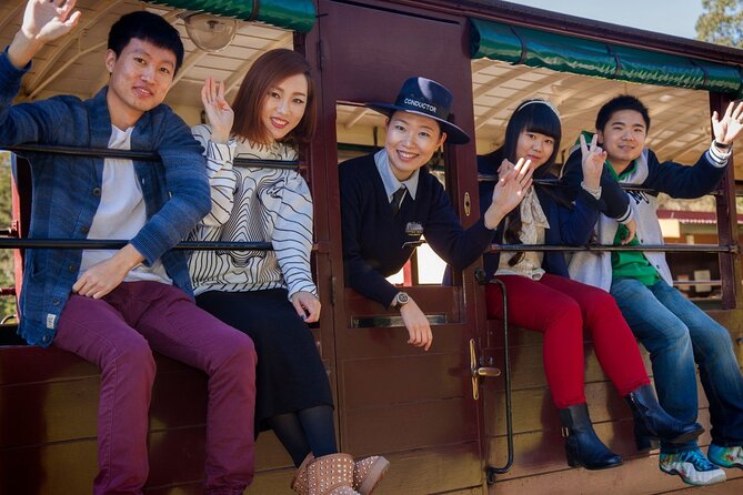 Puffing Billy Steam Train Experience - Who should book this Puffing Billy tour?