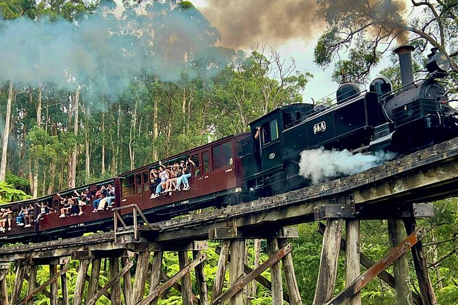 Puffing Billy Tour and Penguin Parade from Melbourne - Why this combination works so well