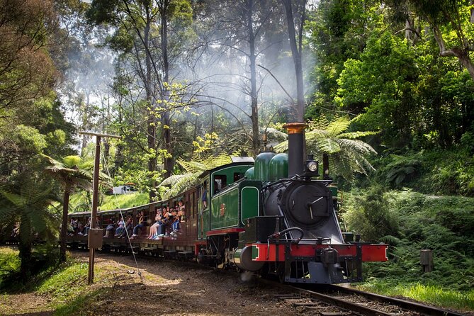 Puffing Billy Tour and Penguin Parade from Melbourne - Is the $175.72 price good value?