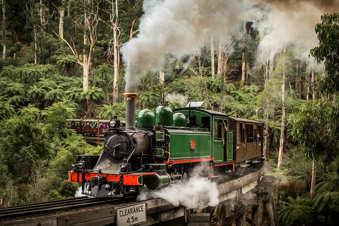 Puffing Billy Train and Phillip Island Penguin Parade Day Tour - Key points to know before booking