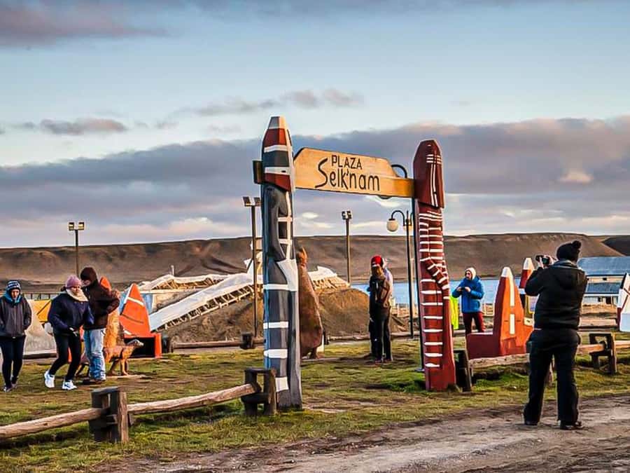 Punta Arenas: Full Day Tierra del Fuego & King Penguins - Key points to know before booking