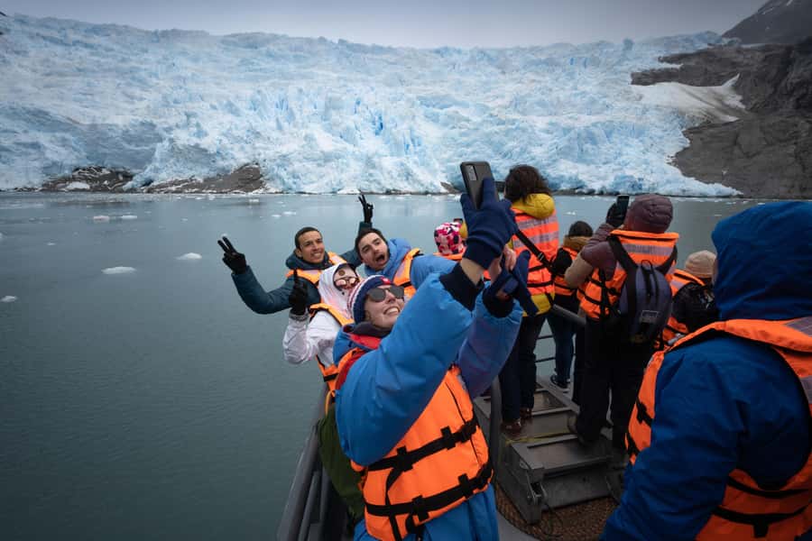 Punta Arenas: Full-Day Whales, Penguins, and Glaciers Tour - Why this Punta Arenas cruise is special