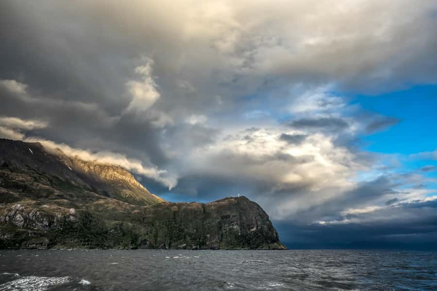 Punta Arenas: Full-Day Whales, Penguins, and Glaciers Tour - Food, drinks, and staying comfortable