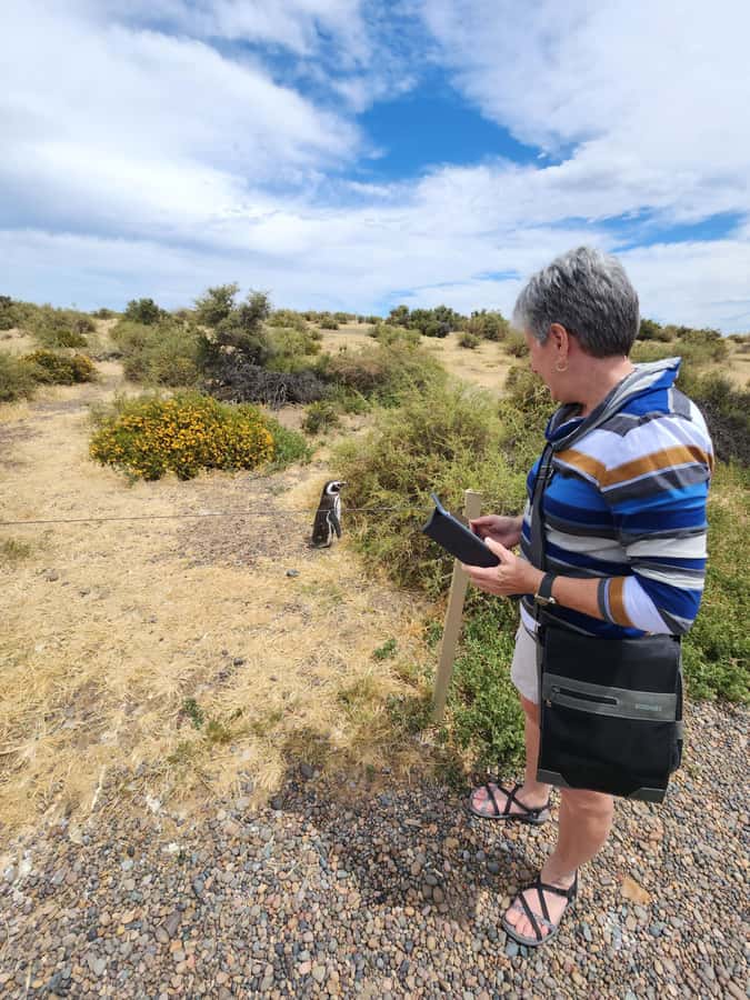 Punta Tombo Cruise Shore Excursion - Walk among penguins - Starting at the Interpretation Center