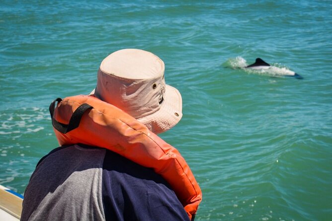 Punta Tombo Penguin Colony from Puerto Madryn with optional Toninas Watching - What happens if you skip the boat