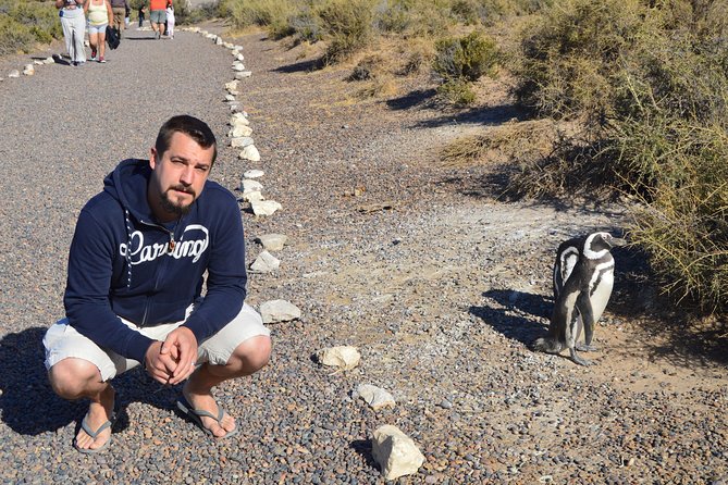 Punta Tombo Tour, the Penguin Experience - The guide and group experience