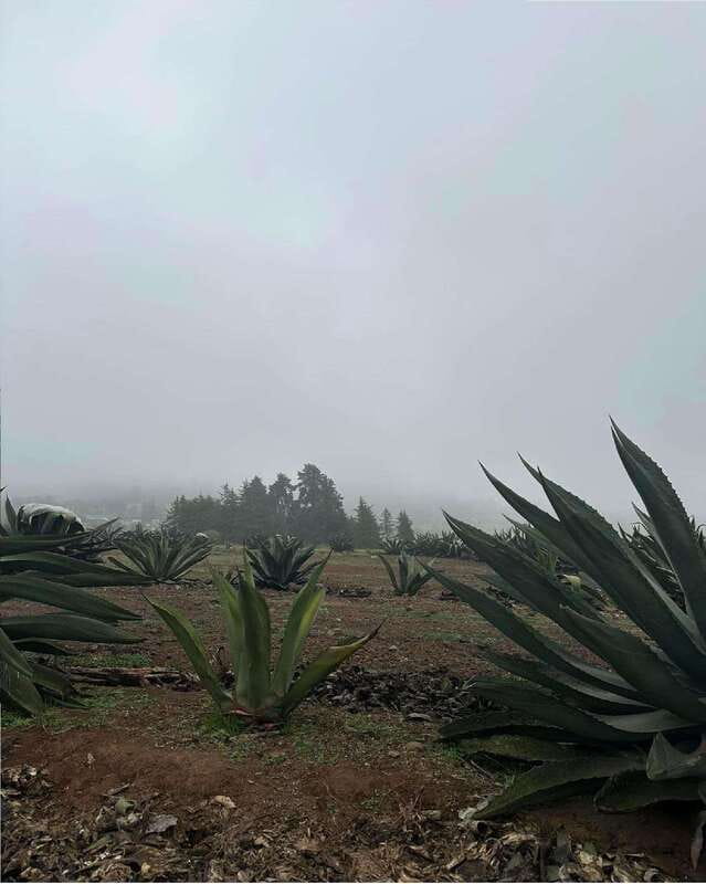 Quetzalapan + Chignahuapan: visit the sphere factory and its surroundings - Who should book this Puebla excursion?