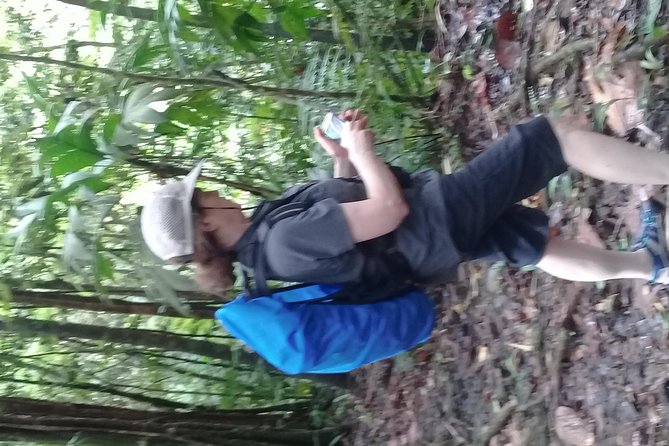 Rain forest and Bird watching - What the $65 price really covers
