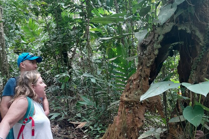 Rain forest and Bird watching - Should you book Rain Forest and Bird Watching?