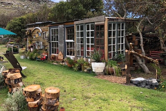 Revel in the Cape Peninsula (Penguins & Cape of Good Hope) - The Scone Shack brings a homemade pause