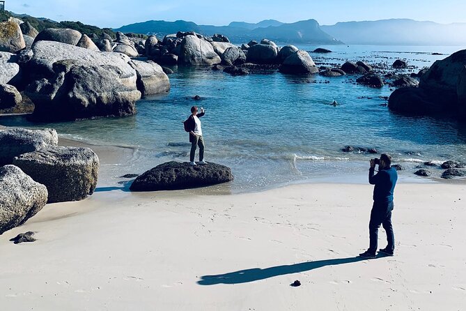 Revel in the Cape Peninsula (Penguins & Cape of Good Hope) - Price, extra fees, and who gets good value