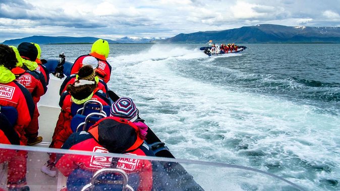 Reykjavik Premium Puffin tour | Close Up and Personal - What the guide adds to the hour