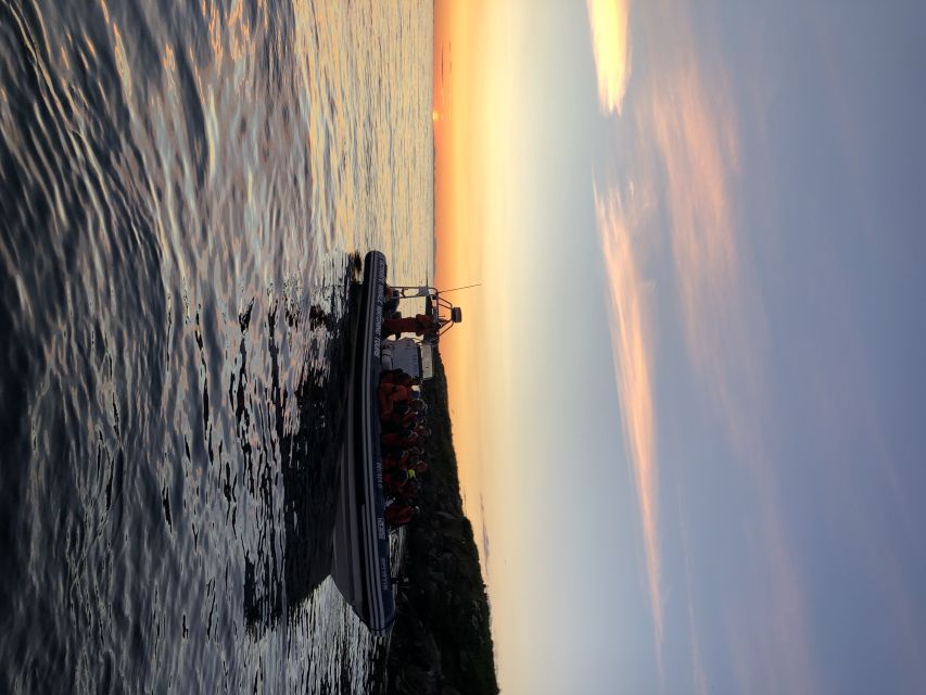 Reykjavik: Premium Whale and Puffin Watching Evening Tour - Who should book this evening whale safari?