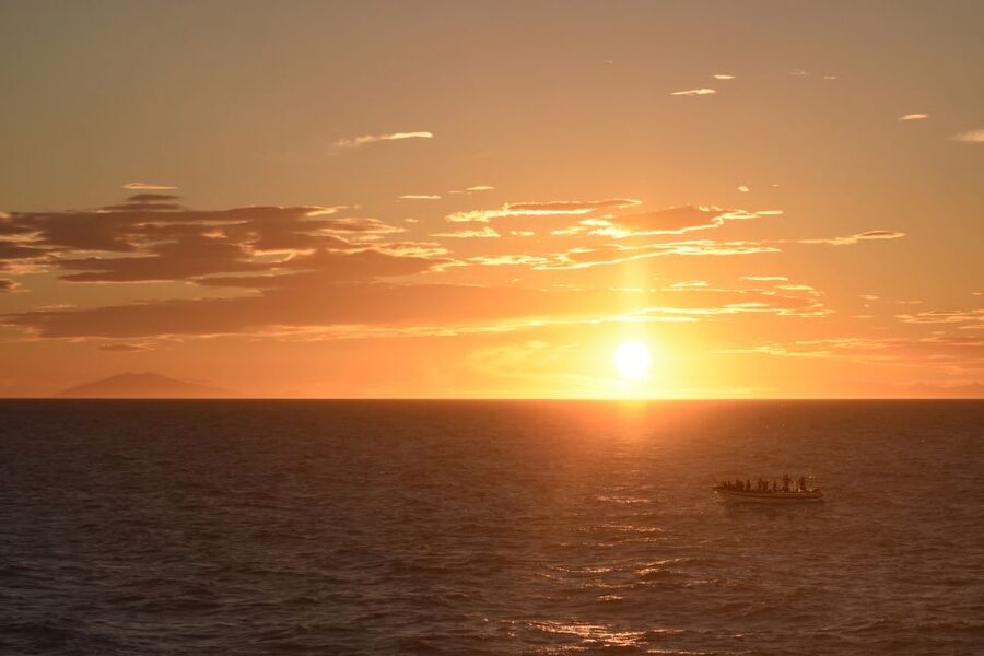 Reykjavik: Premium Whale and Puffin Watching Evening Tour - Crossing Faxaflói Bay in search of whales and dolphins