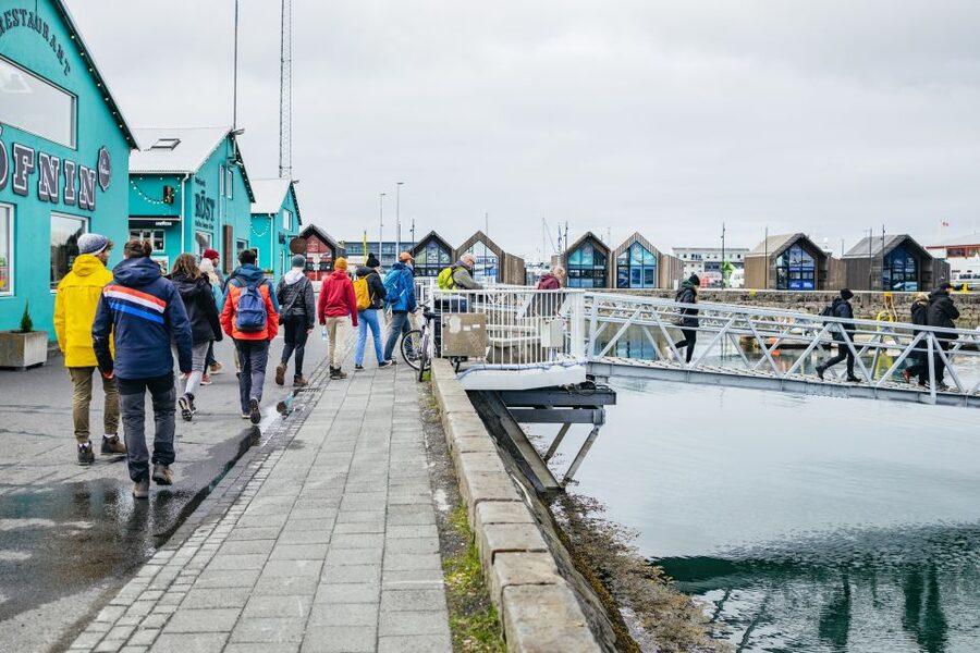 Reykjavik: Puffin Watching Boat Tour - Should you book the Reykjavik puffin boat tour?
