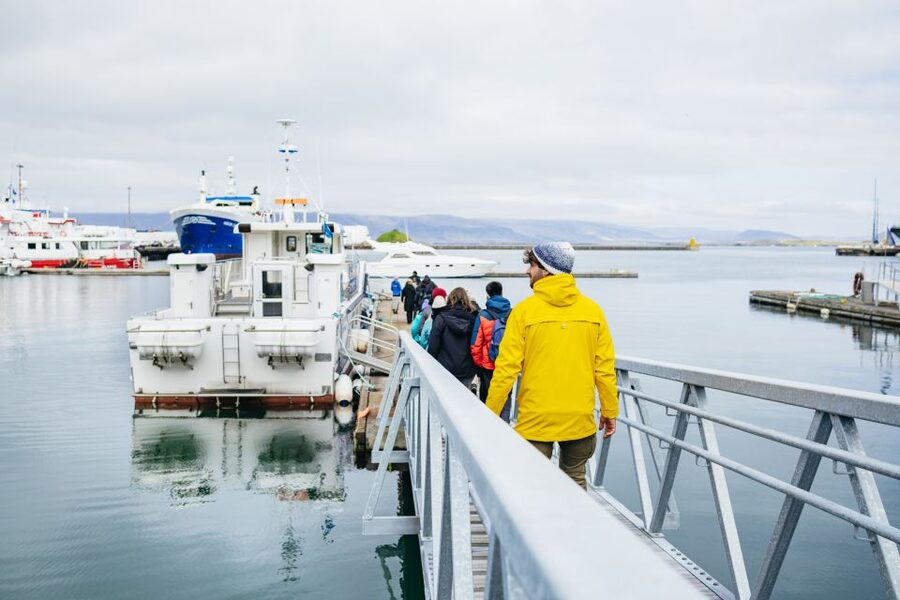 Reykjavik: Puffin Watching Boat Tour - Binoculars, cameras, and the best viewing position