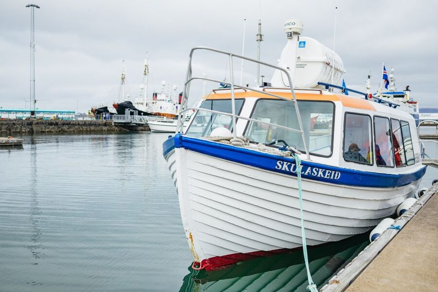 Reykjavik: Puffin Watching Boat Tour - Is this a good family and accessibility choice?