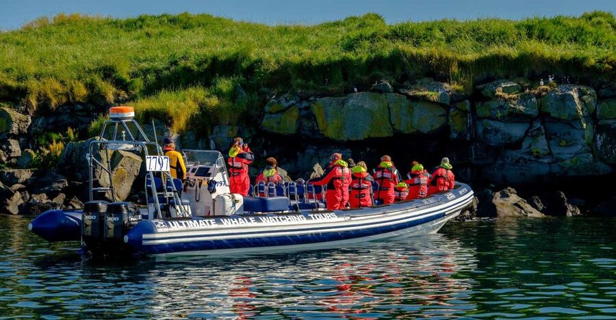 Reykjavik: Puffin Watching Tour - Why this puffin trip works so well in Reykjavik
