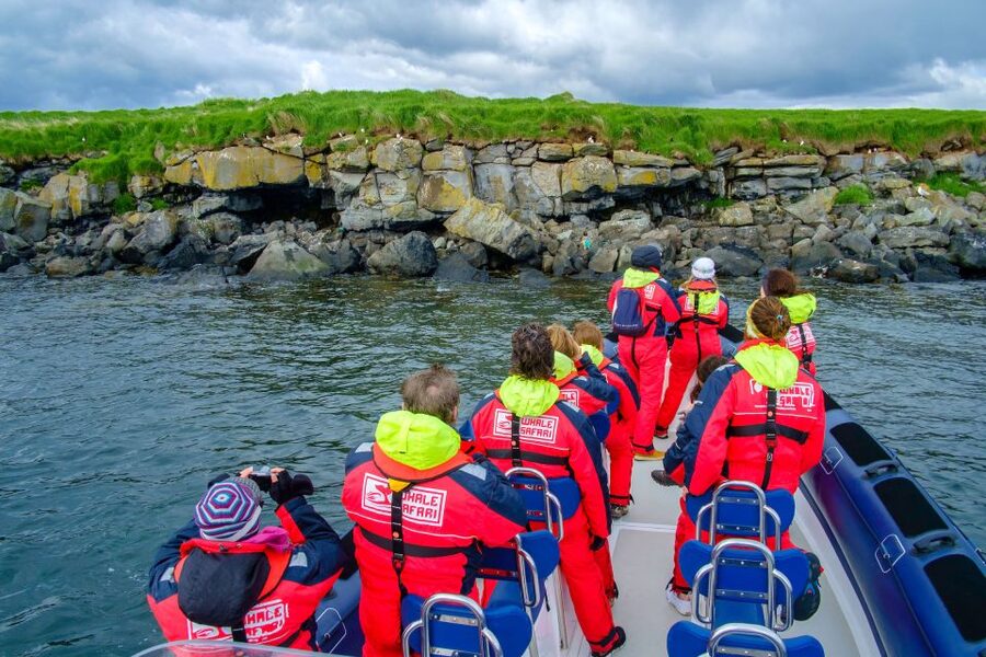 Reykjavik: Puffin Watching Tour - The RIB ride across Faxaflói Bay