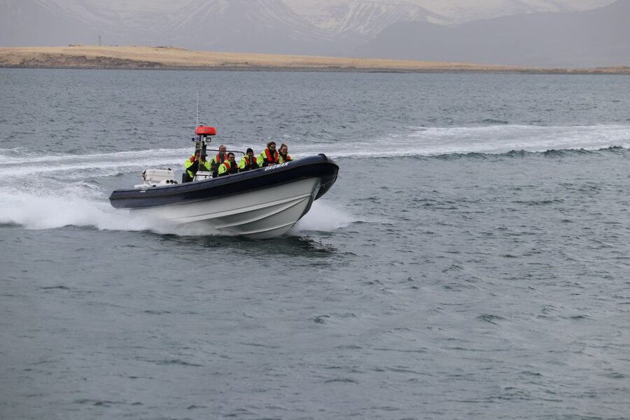 Reykjavik: Puffin Watching Tour by RIB Speedboat - Booking and weather details