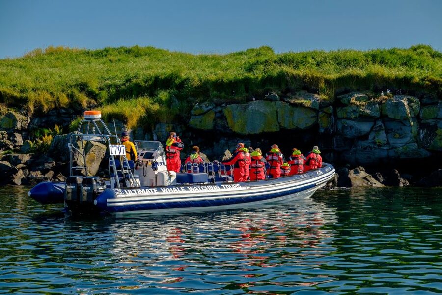 Reykjavik: Puffin Watching Tour - Puffins, Fishing, and the Right Season