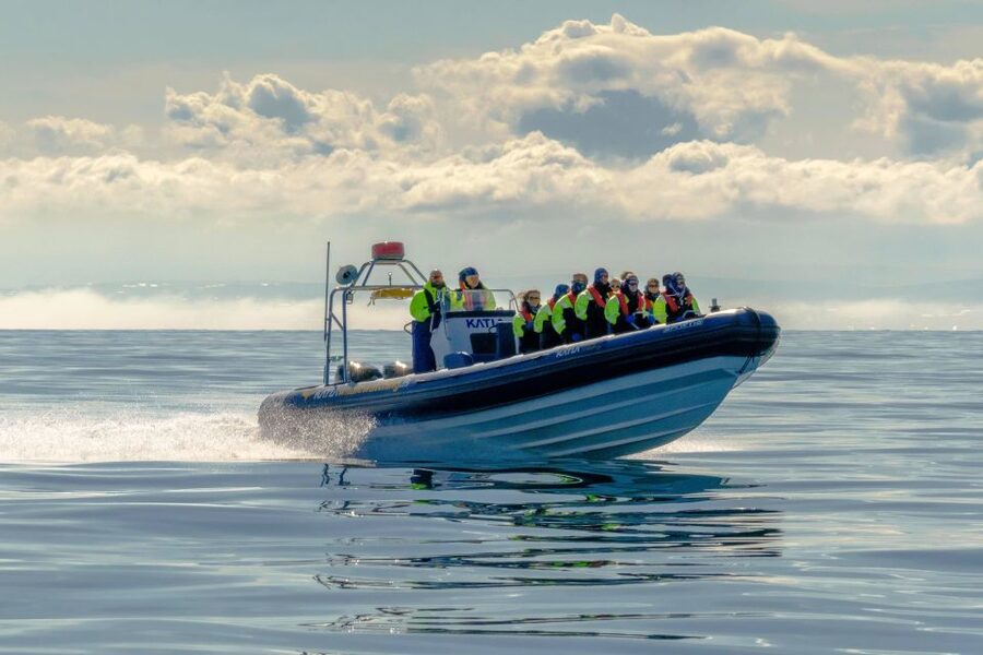 Reykjavík: RIB Speed-Boat Puffin Watching Tour - A guide who adds more than bird names