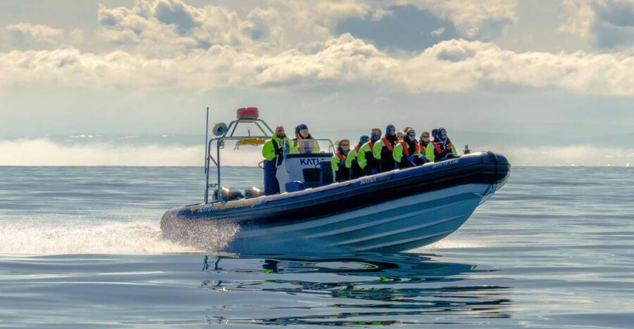 Reykjavík: RIB Speed-Boat Puffin Watching Tour - Who will enjoy this tour most