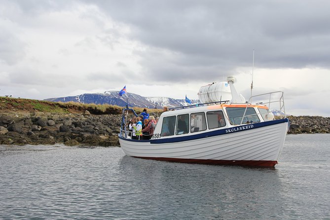 Reykjavik Shore Excursion: Puffin Sightseeing Cruise - A quick cruise from Reykjavik’s port