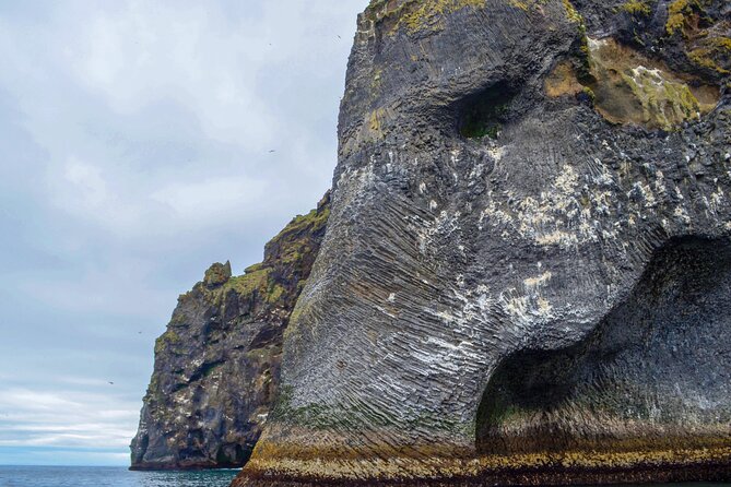 Reykjavík: Westman Islands, Volcanoes and Puffins Minibus Tour - Eldheimar, the Pompeii of the North