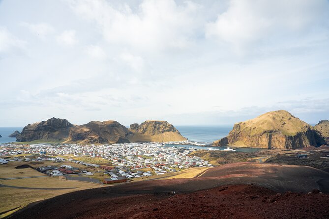Reykjavík: Westman Islands, Volcanoes and Puffins Minibus Tour - What the 12.5-Hour Schedule Feels Like