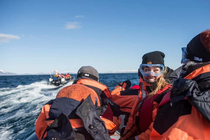 Reykjavik: Whale and Puffin Watching RIB Boat Tour - Puffin islands and the first wildlife search