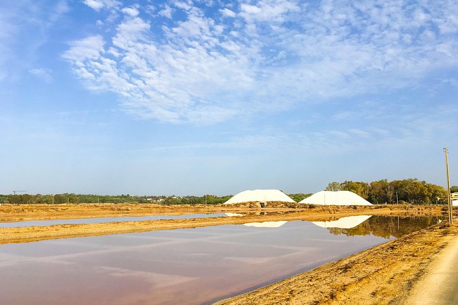 Ria Formosa Natural Park Birdwatching Segway Tour from Faro - Why the private format helps beginners