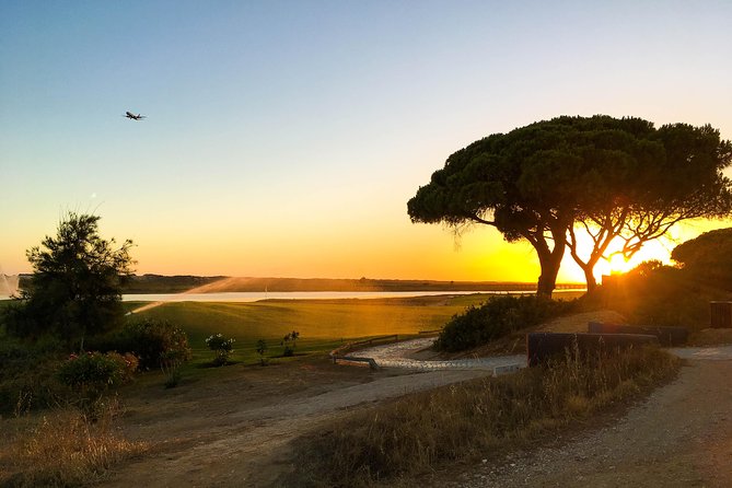 Ria Formosa Natural Park Birdwatching Segway Tour from Faro - Timing, heat, and what to bring