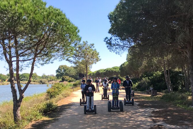 Ria Formosa Natural Park Birdwatching Segway Tour from Faro - Birdwatching at Ludo