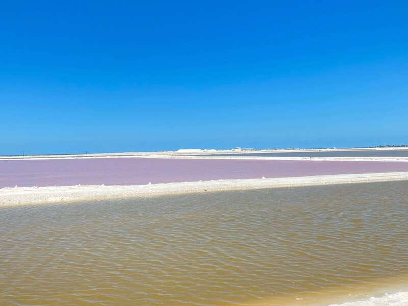 Rio Lagartos and Las Coloradas: EcoSafari Flamingo classic - What to bring and what to expect