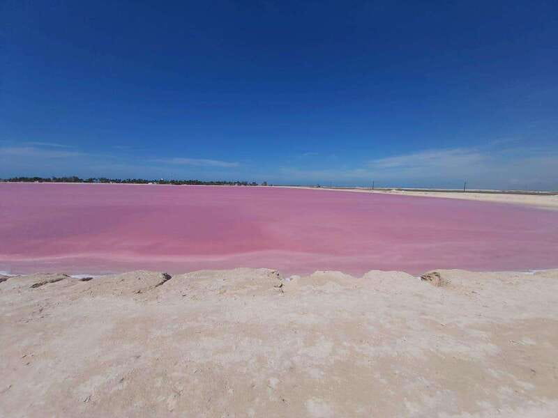 Rio Lagartos and Las Coloradas: Safari Flamingo Luxury - Mangrove channels and the first wildlife stops