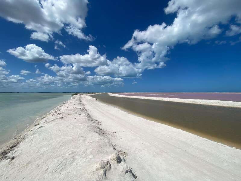 Rio Lagartos and Las Coloradas: Safari Flamingo Luxury - Looking for crocodiles in the reserve