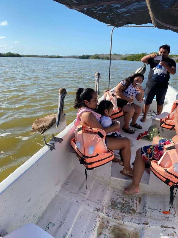 Rio Lagartos and Las Coloradas: Safari Flamingo Luxury - Finishing at a Gulf of Mexico beach